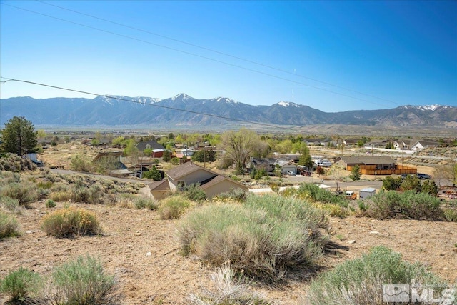 2583 Nye Dr, Minden, NV 89423 - photo 19
