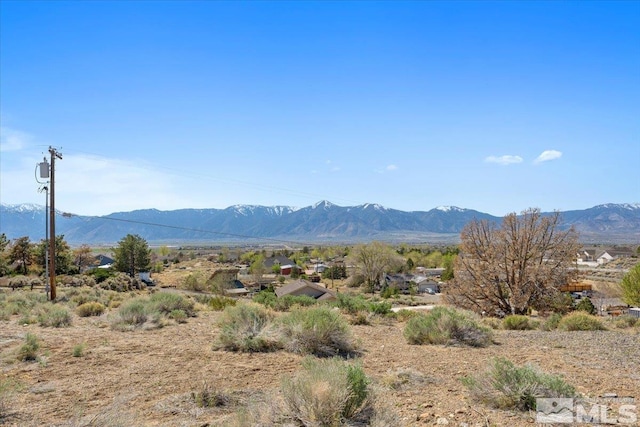 2583 Nye Dr, Minden, NV 89423 - photo 20