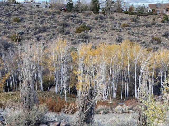 4775 Mount Rose Hwy, Reno, NV 89511 - view of undeveloped land