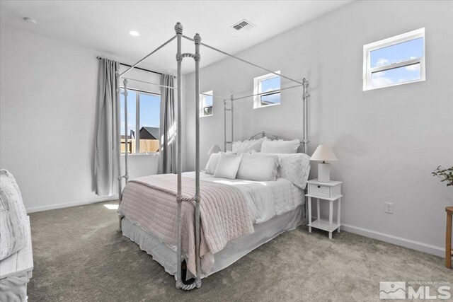 12518 Brass Rdg, Reno, NV 89521 - photo 18