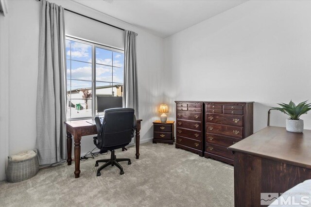 12518 Brass Rdg, Reno, NV 89521 - photo 23