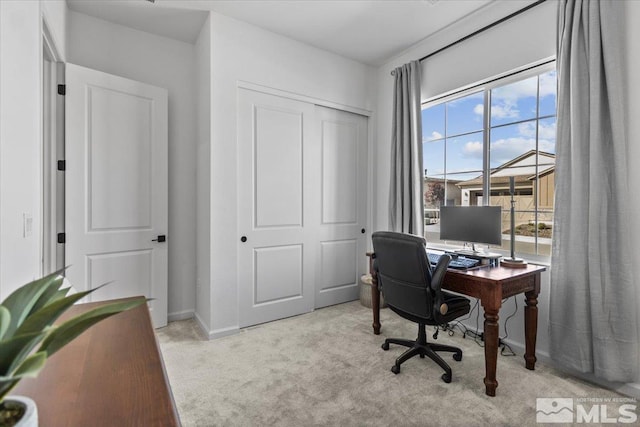 12518 Brass Rdg, Reno, NV 89521 - photo 26