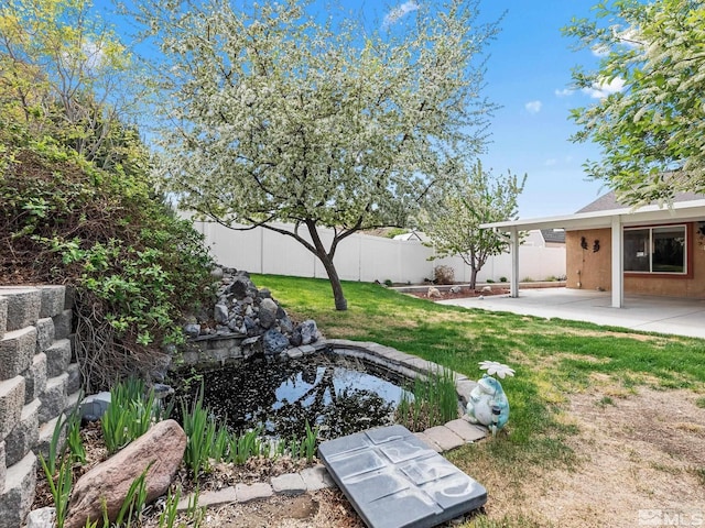 1343 White Bluffs Cir, Fernley, NV 89408 - view of yard with a patio area and a small pond