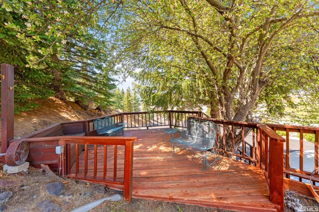 4335 Eastlake Blvd, Washoe Valley, NV 89704 - photo 6