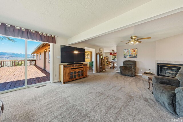 4335 Eastlake Blvd, Washoe Valley, NV 89704 - photo 9