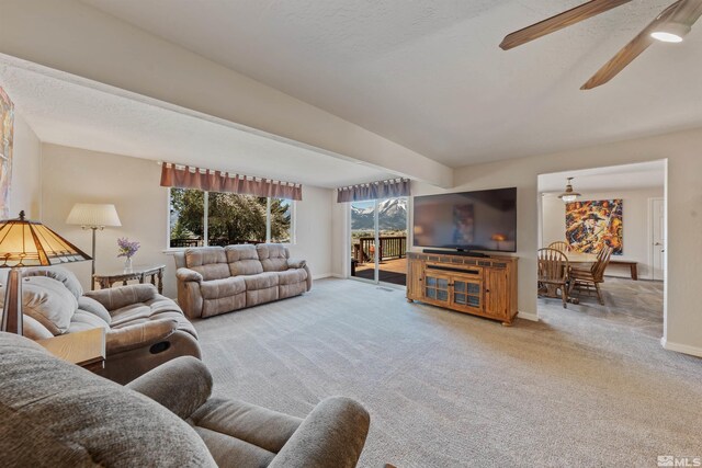 4335 Eastlake Blvd, Washoe Valley, NV 89704 - photo 10