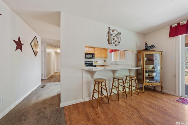4335 Eastlake Blvd, Washoe Valley, NV 89704 - photo 15