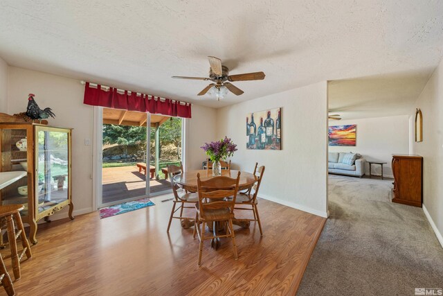 4335 Eastlake Blvd, Washoe Valley, NV 89704 - photo 17