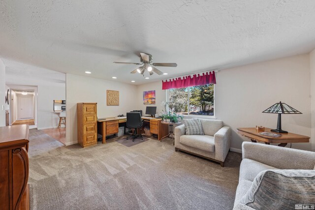 4335 Eastlake Blvd, Washoe Valley, NV 89704 - photo 18