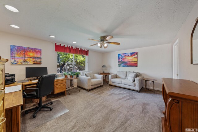 4335 Eastlake Blvd, Washoe Valley, NV 89704 - photo 19