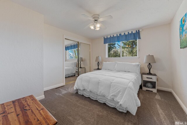 4335 Eastlake Blvd, Washoe Valley, NV 89704 - photo 24