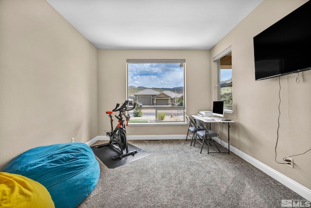 16885 Majestic View Dr, Reno, NV 89521 - workout room featuring carpet flooring and baseboards