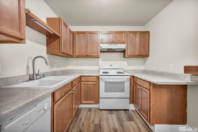 2375 Tripp Dr Unit 2, Reno, NV 89512 - kitchen featuring white appliances, under cabinet range hood, a sink, light wood-style flooring, and light countertops