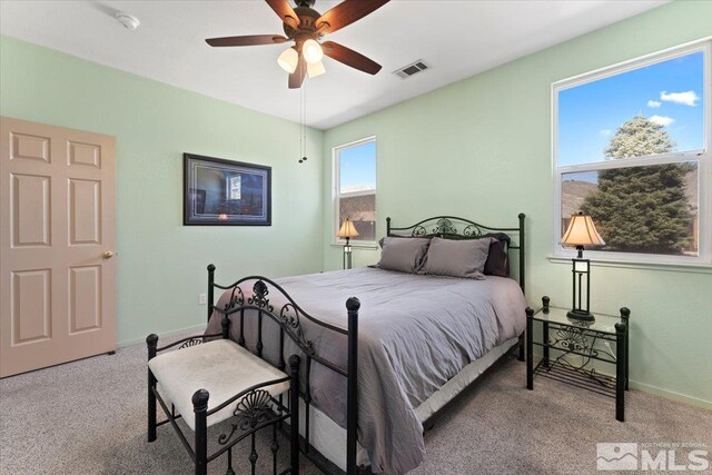 21055 Rainier Dr, Reno, NV 89508 - photo 14