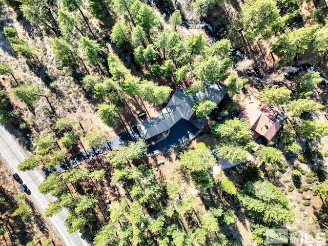 1300 Douglas Fir Dr, Reno, NV 89511 - bird's eye view