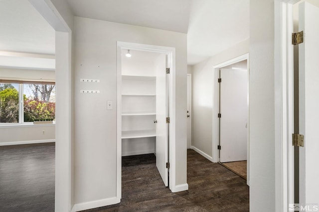 9499 Wigwam Way, Reno, NV 89506 - hallway with dark wood finished floors and baseboards