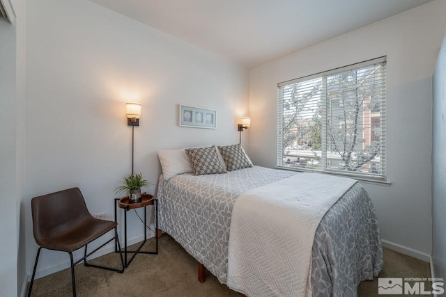 1450 Idlewild Dr Unit 1121, Reno, NV 89509 - carpeted bedroom with baseboards