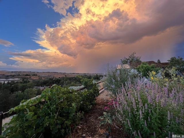 4625 Canyon Dr, Reno, NV 89519 - view of nature