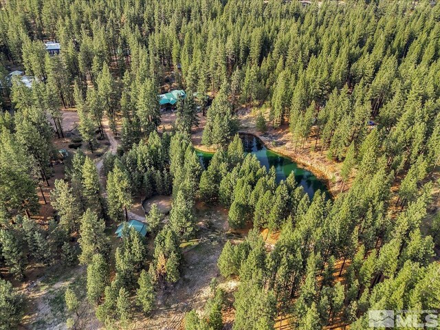 93 Jeffrey Pine Ln, Carson City, NV 89705 - photo 40