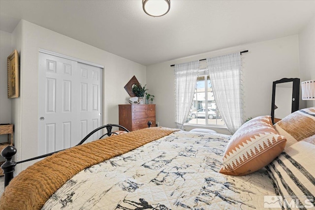 2036 Flycatcher Ct, Sparks, NV 89441 - bedroom with a closet