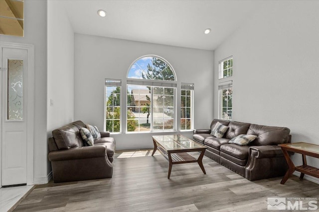 2525 Beaumont Pkwy, Reno, NV 89523 - living room with wood finished floors, a high ceiling, and recessed lighting
