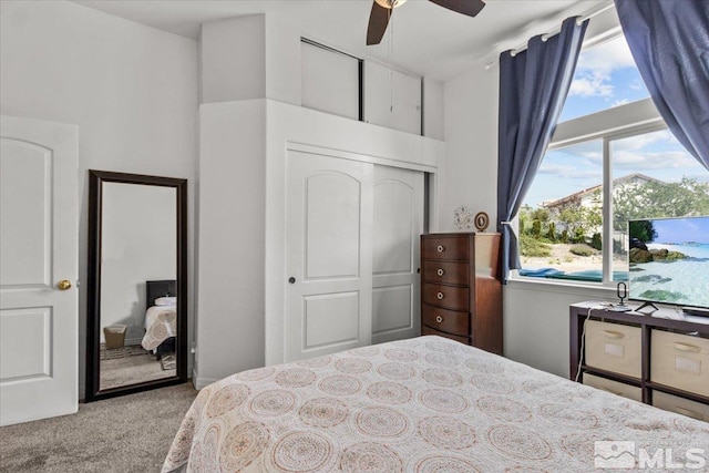 2525 Beaumont Pkwy, Reno, NV 89523 - bedroom with carpet flooring, a closet, and a high ceiling