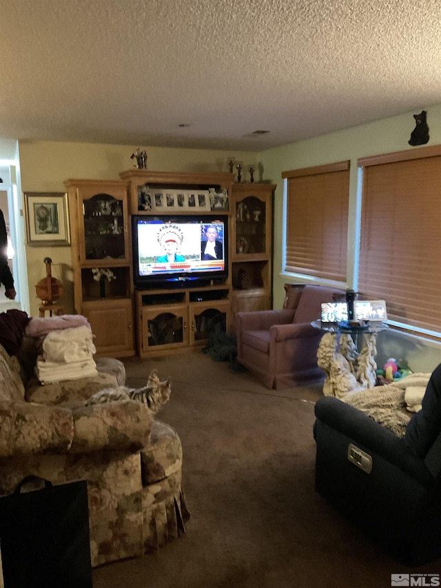 3645 Peregrine Cir, Reno, NV 89508 - living room with carpet flooring and a textured ceiling