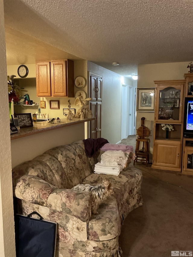 3645 Peregrine Cir, Reno, NV 89508 - living room featuring a textured ceiling and carpet floors