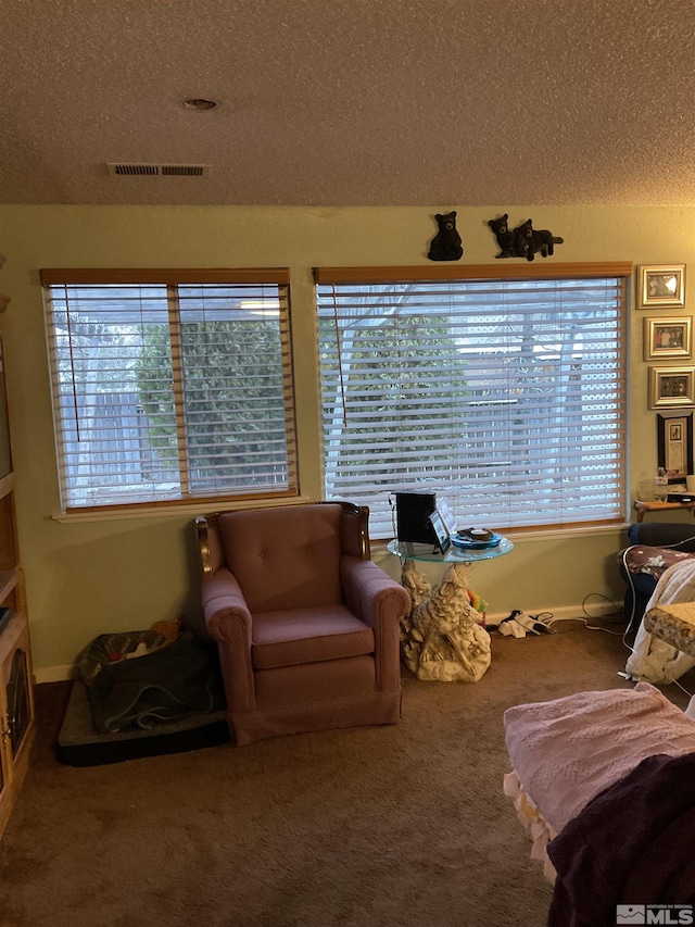 3645 Peregrine Cir, Reno, NV 89508 - carpeted living room with plenty of natural light and a textured ceiling