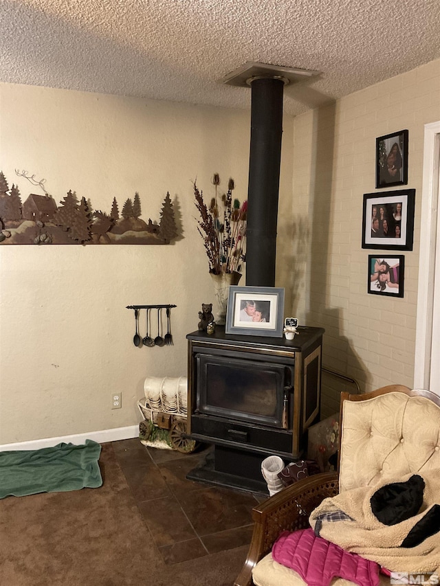 3645 Peregrine Cir, Reno, NV 89508 - sitting room with a wood stove and a textured ceiling