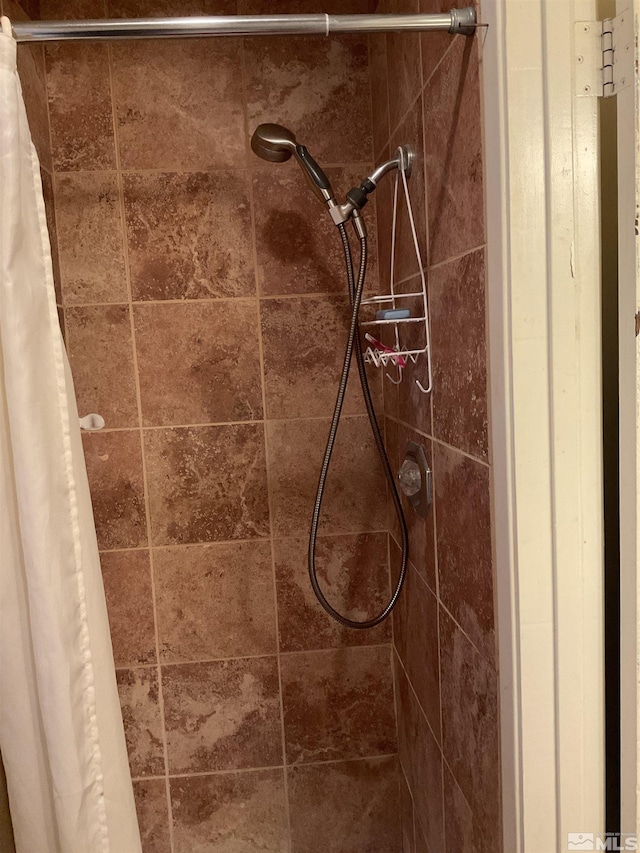 3645 Peregrine Cir, Reno, NV 89508 - bathroom view of tiled shower
