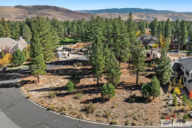 20500 Margaux Rd, Reno, NV 89511