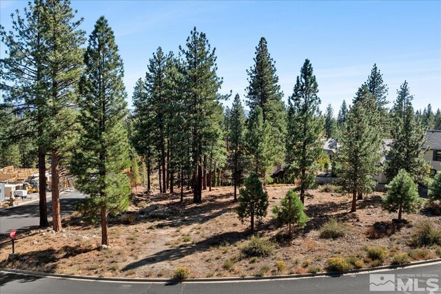 20500 Margaux Rd, Reno, NV 89511