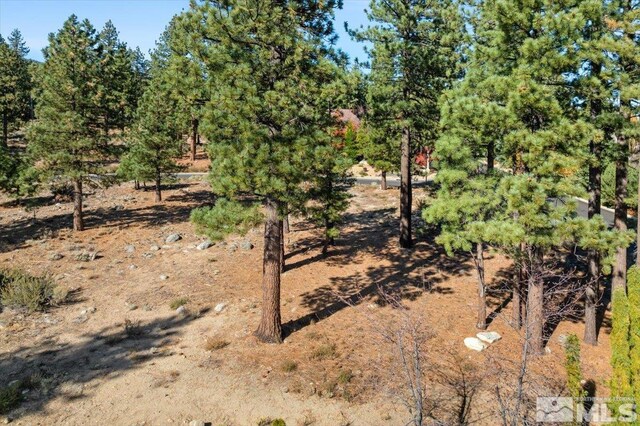 20500 Margaux Rd, Reno, NV 89511