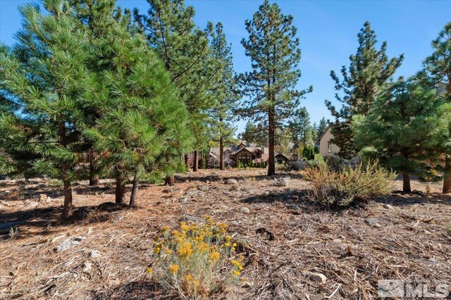20500 Margaux Rd, Reno, NV 89511