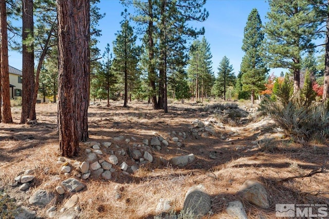 20500 Margaux Rd, Reno, NV 89511