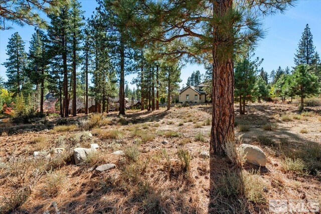 20500 Margaux Rd, Reno, NV 89511