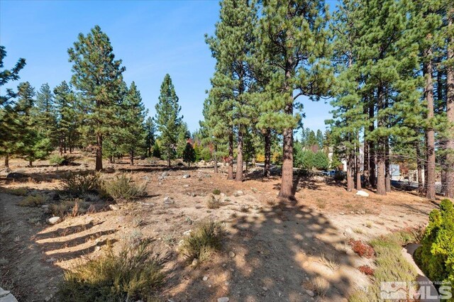 20500 Margaux Rd, Reno, NV 89511