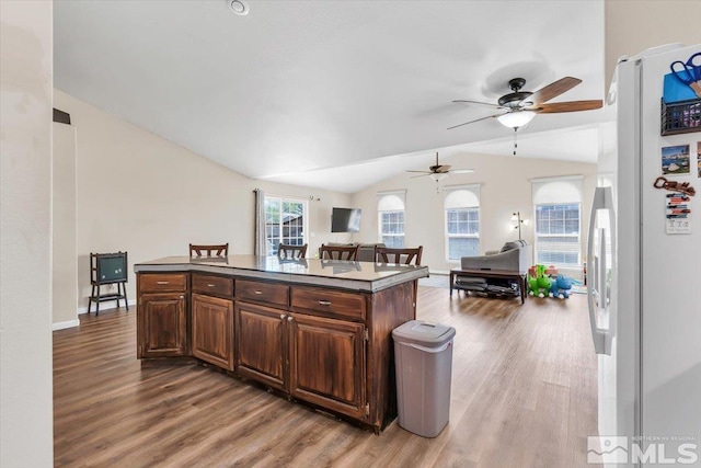 989 Julia Ln, Fernley, NV 89408 - kitchen featuring vaulted ceiling, light wood-style flooring, ceiling fan, dark countertops, and freestanding refrigerator
