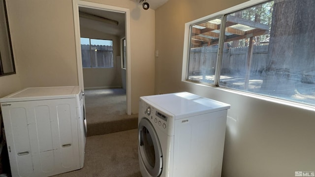 2602 William Ave, South Lake Tahoe, CA 96150 - washroom featuring washer / dryer and carpet floors
