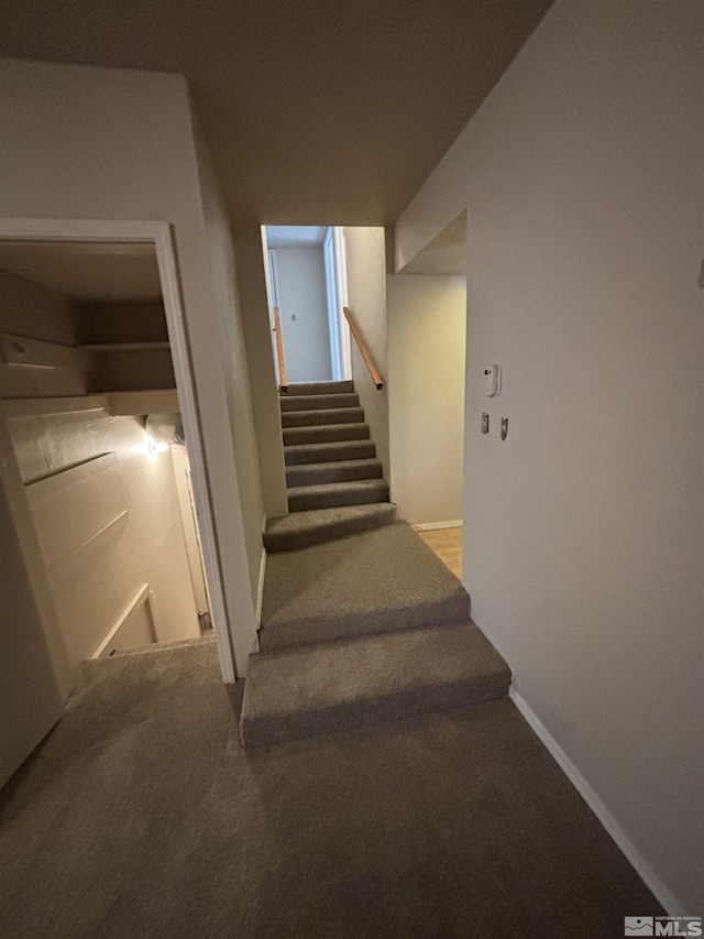 2602 William Ave, South Lake Tahoe, CA 96150 - stairs featuring carpet floors