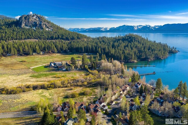 190 Yellow Jacket, Glenbrook, NV 89413 - bird's eye view of a heavily wooded area and a water and mountain view
