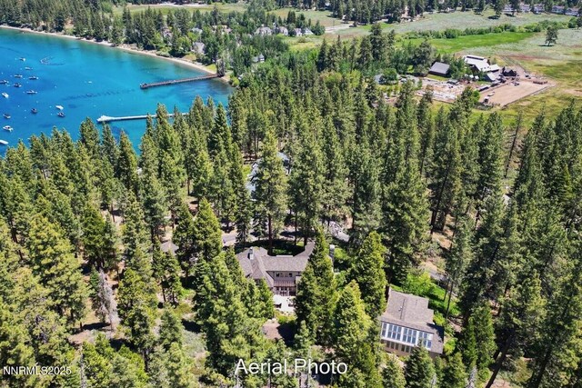 190 Yellow Jacket, Glenbrook, NV 89413 - drone / aerial view of a large body of water and a heavily wooded area