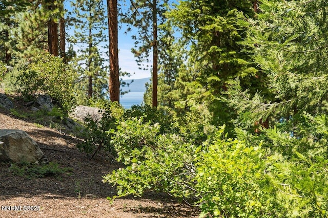 190 Yellow Jacket, Glenbrook, NV 89413 - view of nature