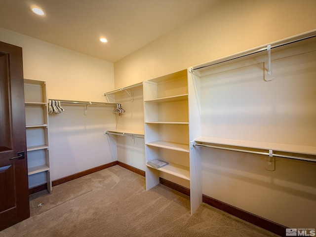 46 Silver Lynx Way, Verdi, NV 89439 - spacious closet with carpet flooring