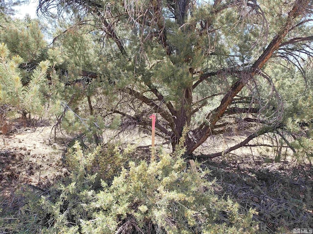 21741 Clemens, Reno, NV 89521 - photo 2