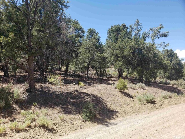21741 Clemens, Reno, NV 89521 - photo 4