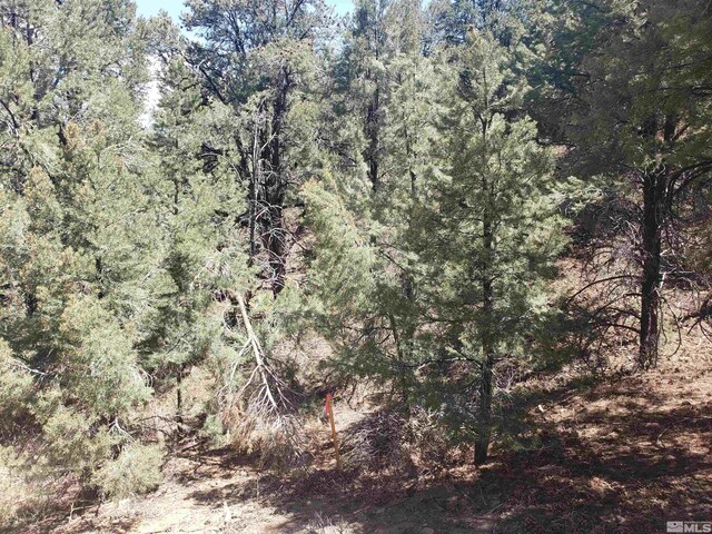 21741 Clemens, Reno, NV 89521 - photo 6