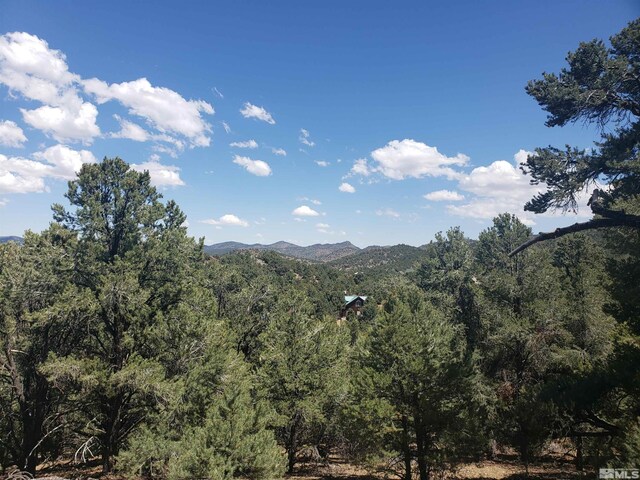 21741 Clemens, Reno, NV 89521 - photo 8