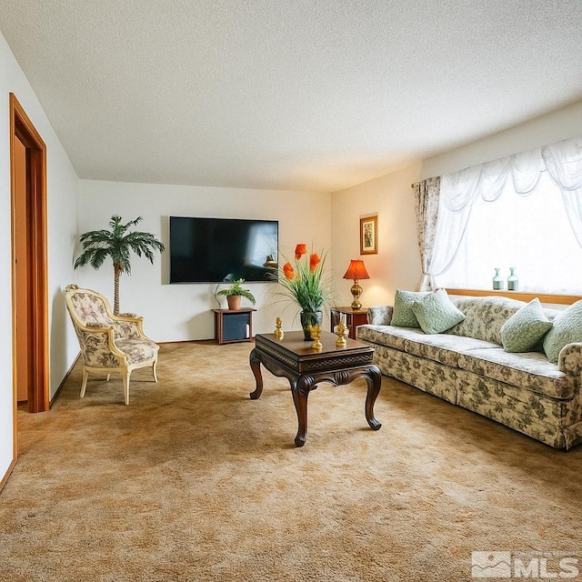 151 B St, Hawthorne, NV 89415 - living area featuring carpet floors and a textured ceiling